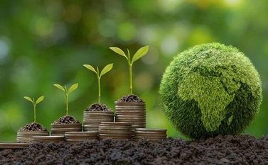 The Crucial Role of Climate Finance in Achieving a Net Zero Future