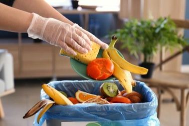 Is Upcycling Food Waste for Fashion Truly Better?