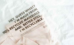 Exploring Circularity and Regenerative Materials 