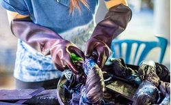 Dyeing for Change: Addressing the Health and Environmental Risks of the Textile Industry