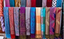 Threads of Sustainability: A Comprehensive Study of Pashmina