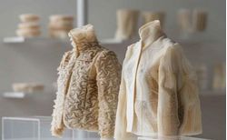 Growing Garments: Biofabrication in the Textile Industry