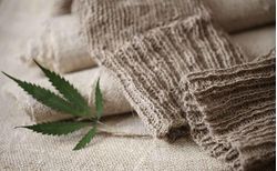 Textile Fibres of the Future: Sustainable Innovations in Fashion 