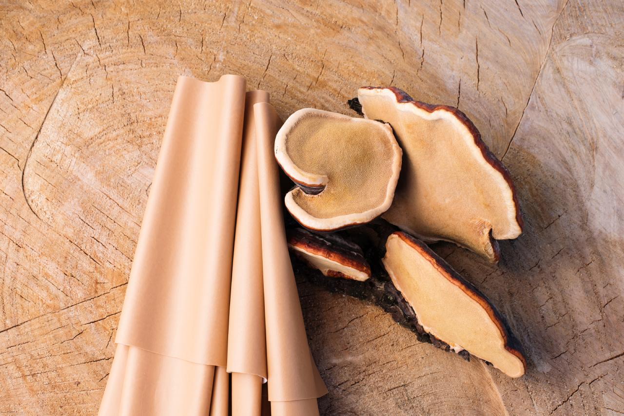 Mushroom Leather: Growing the Future of Eco-Friendly Textiles