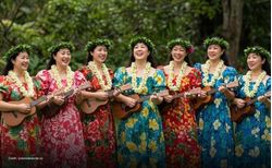 Traditional Hawaiian Clothing of US: The Cultural Story of the Muʻumuʻu and Aloha Shirt