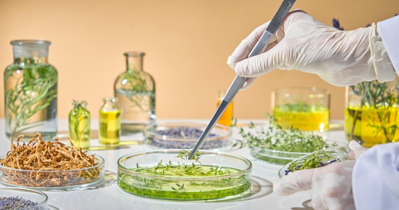 Biobased Intermediates: Pioneering a Greener Dye Pathway