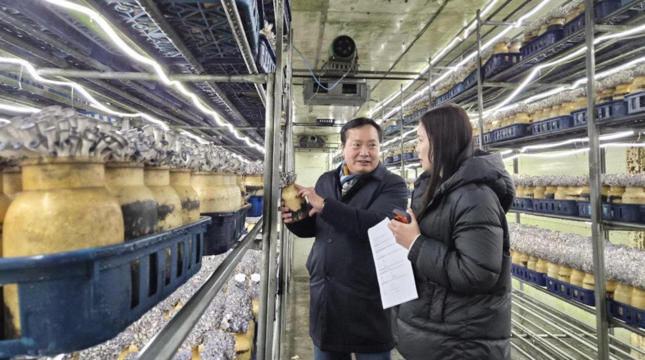 From Innovation to International Recognition: Heri Farm’s Certification Journey