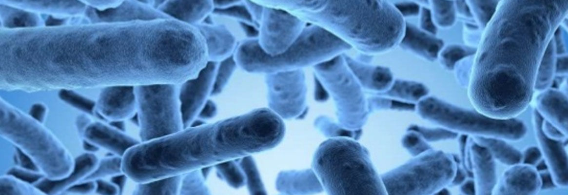 Antimicrobial finish on textiles