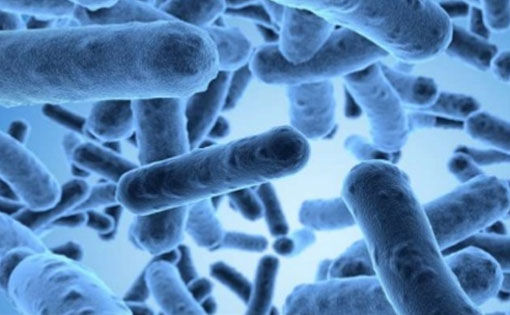 Antimicrobial finish on textiles