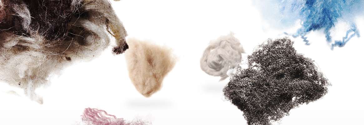 Natural fibers - the beginning of textiles