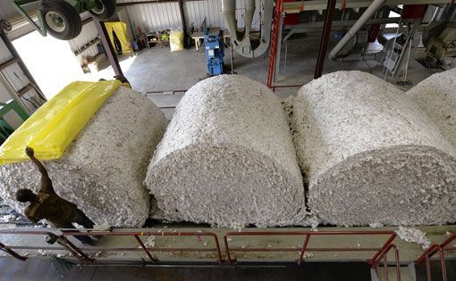 Soaring cotton prices benefits polyester fiber consumption