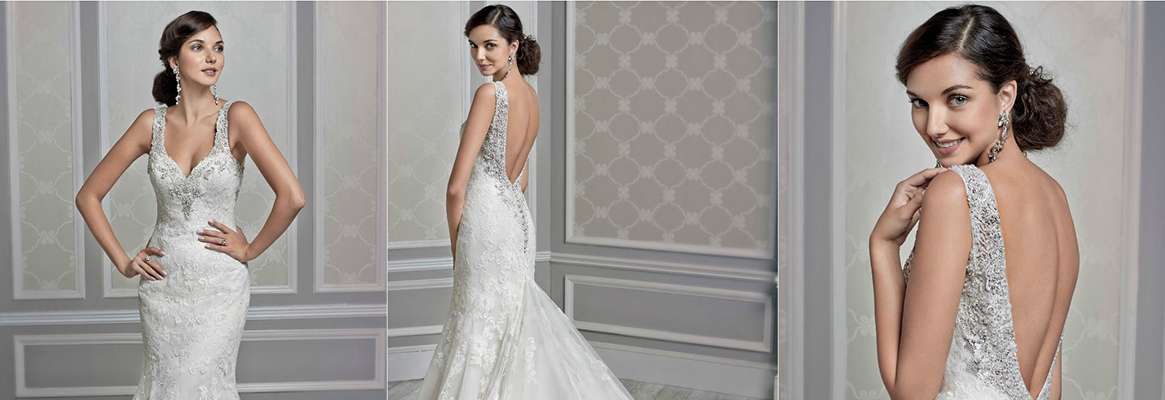 The elegant wedding gown