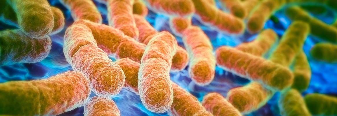 New Era in Anti Microbial Finishing