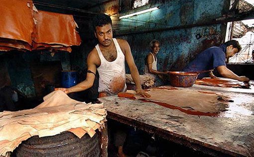 From 'Beast to Beauty' - The Indian Leather Industry