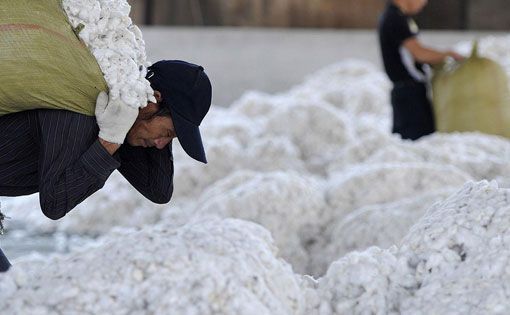 Decline in Chinese cotton consumption impinges the Global Market