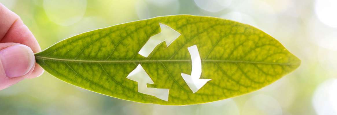 Apparel Industry: Starting a 'Go Green' Initiatives