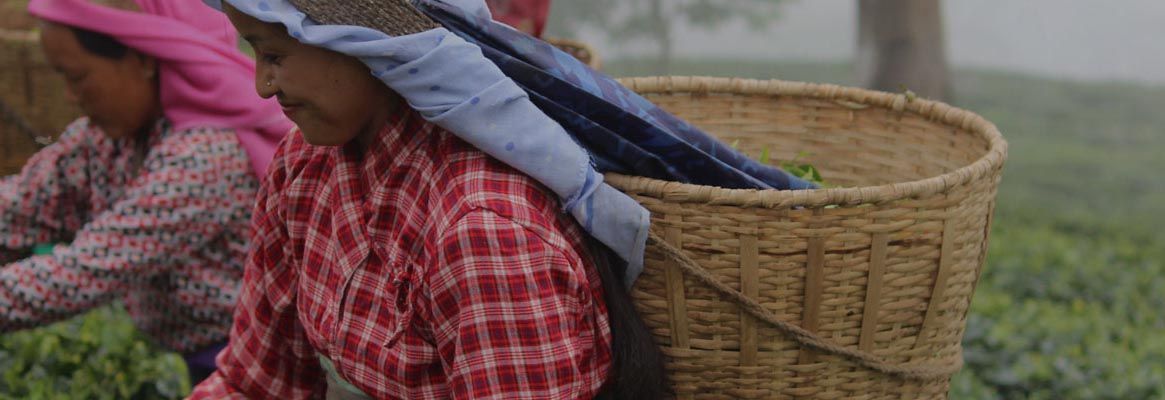 Will the Indian Textile Industry become CTC free?