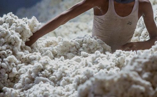 Soaring cotton prices threaten global economy