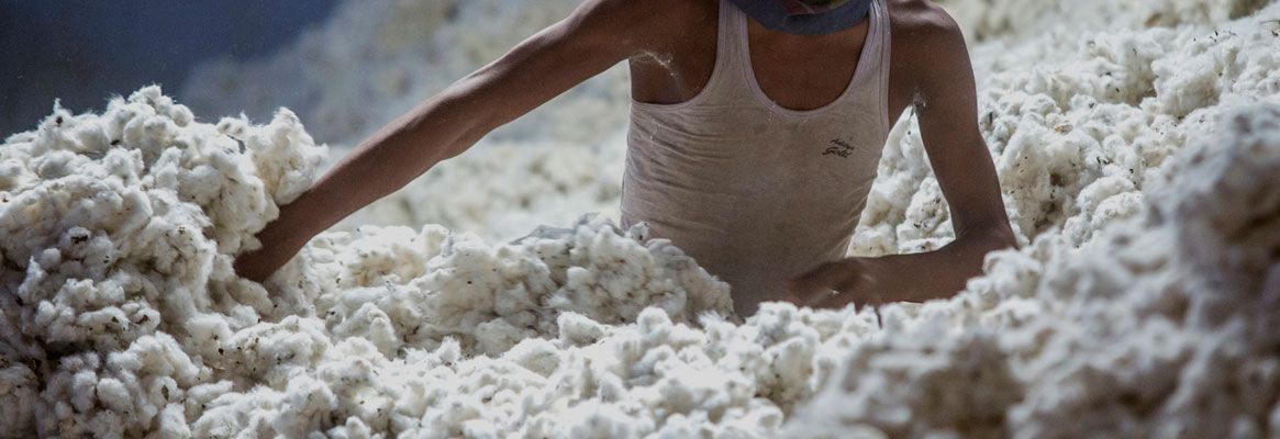 Soaring cotton prices threaten global economy
