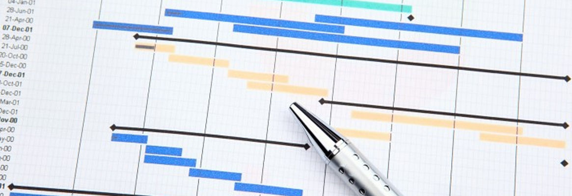 Project Management Methodologies from GANTT Charts to PRINCE2