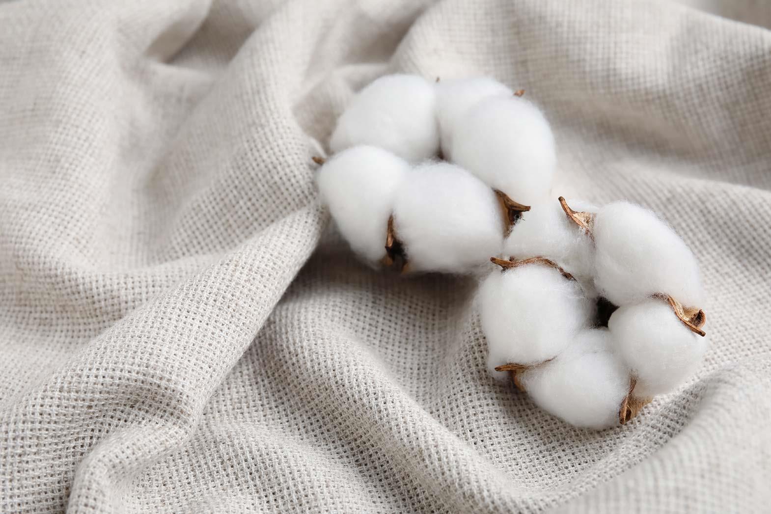 Cotton Prices