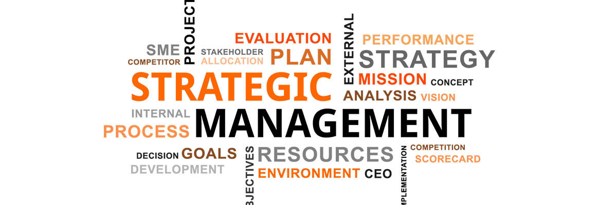 Strategic Management Process - The Building Stage