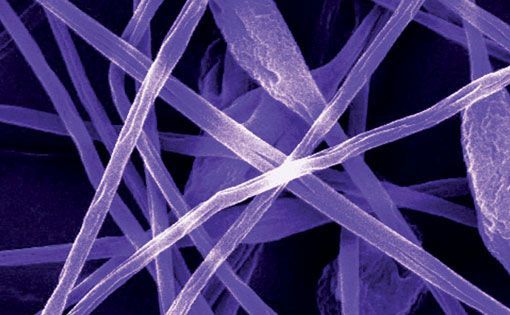 Nanofibres for novel medical textile applications