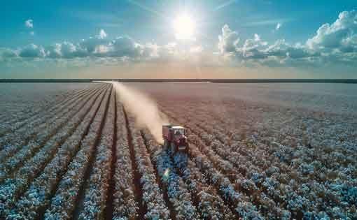 cottonfarming-small