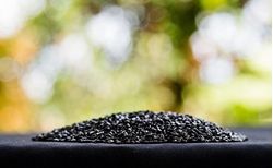 SAdobeStock_435221163