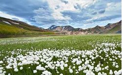 regerative-farming_small