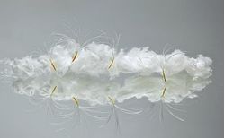 SAdobeStock_207727971