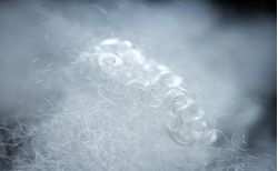 Sshutterstock_2273382961