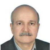 Mr. Nasiriyani Hossein