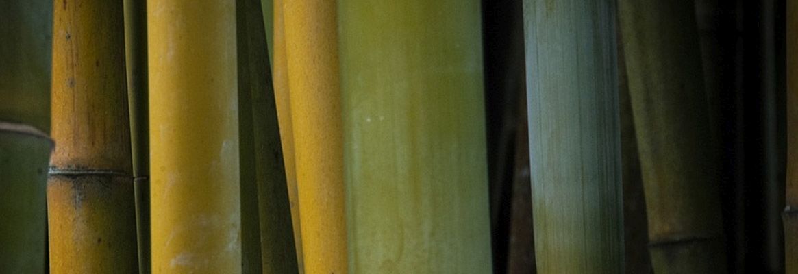 Bamboo combines with Sida Rhombifolia for hygiene