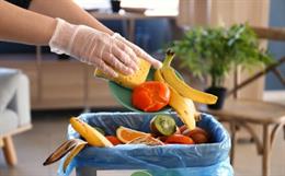 Is Upcycling Food Waste for Fashion Truly Better?