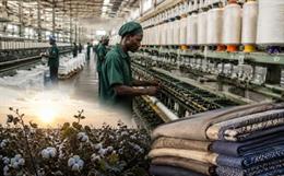 Can Protectionism Revive Nigeria’s Textile Industry? Lessons from China, India, Bangladesh, and Ethiopia