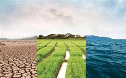 CEO Agenda 2020: Systemic change