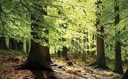 Leveraging Fashion's DNA