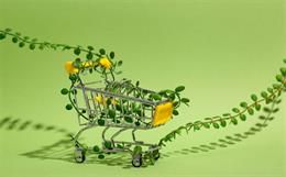 How UK Online Retailers can be More Eco-friendly