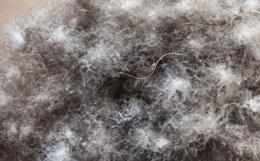 Global Plastic Pollution Treaty: Potential Impact on Fashion