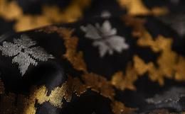 Silk’s Journey: Tracing Tradition to Heritage - Uppada Jamdani Sarees