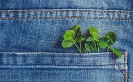 Denim Brands: Moving Towards a Greener Future