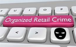 The Rising Tide of Organised Retail Crime in the US: A Deep Dive into the Issue and its Consequences