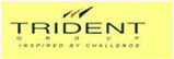 Abhishek Industries Ltd - Trident Group