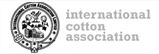 ICA and CEO, Ecom Cotton Group