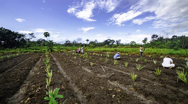 What is agro-forestry as a concept? Was it existing before or is it a totally new concept?