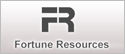 Fortune Resources