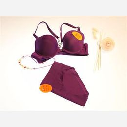 Inner Garments : various kinds of bra, brief and seamless