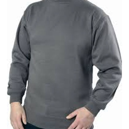 Men's Sweatshirt