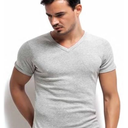 Daily wear Mens T-shirt